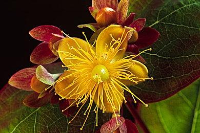 新视频展示《英雄不再3》和平战争两大游戏场景